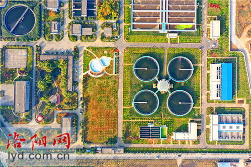 洛陽新區(qū)污水處理廠二期擴建工程綠化完工